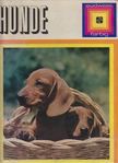 Hunde [antikvár]