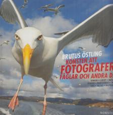 Östling, Brutus - Konsten att fotografera fåglar och andra djur [antikvár]