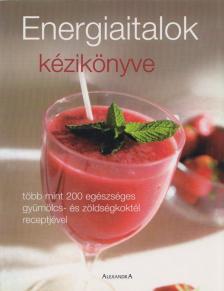 Maria Costantino - Energiaitalok kézikönyve [antikvár]