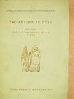 Adam Mickiewicz - Prométheusz tüze (dedikált példány) [antikvár]