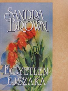 Sandra Brown - Egyetlen éjszaka [antikvár]