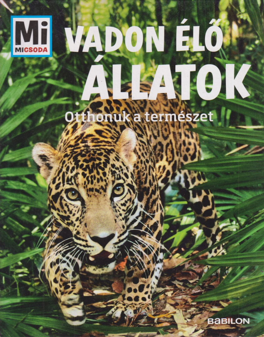 Christine Paxmann - Vadon élő állatok [antikvár]