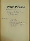 Richard Hiepe - Pablo Picasso [antikvár]