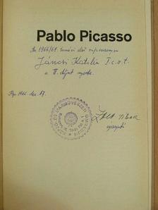 Richard Hiepe - Pablo Picasso [antikvár]