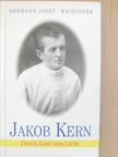 Hermann-Josef Weidinger - Jakob Kern [antikvár]