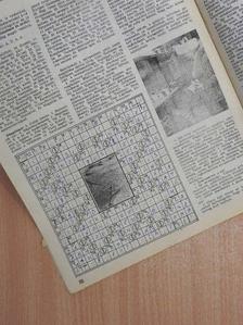 Bazsó Csongor - Kertészet és Szőlészet 1983. március 31. [antikvár]