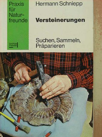 Hermann Schniepp - Versteinerungen [antikvár]