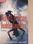 David L. Lindsey - Dunkles Leuchten [antikvár]