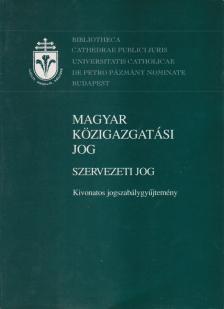 Demcsik Tamás (összeáll.) - Magyar közigazgatási jog - Szervezeti jog [antikvár]