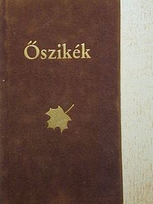 Ady Endre - Őszikék [antikvár]