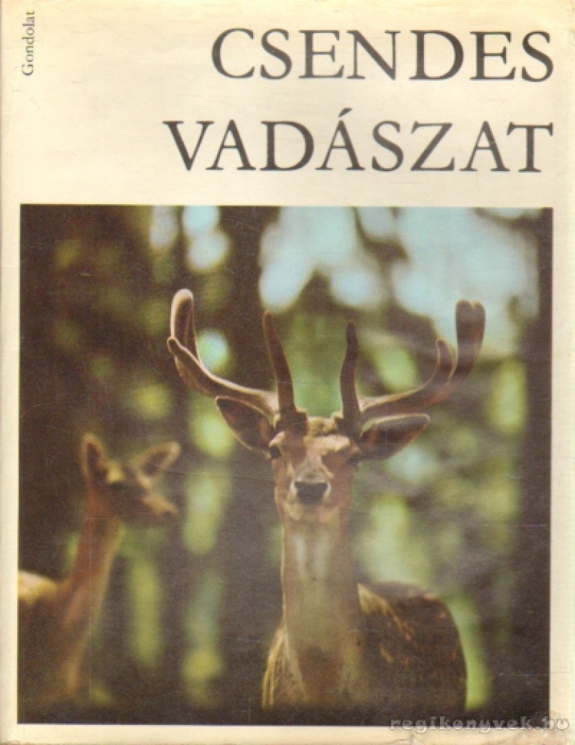 JAROSLAV HOLECEK - Csendes vadászat [antikvár]