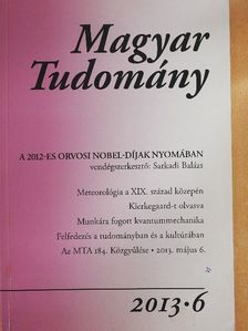 Boros János - Magyar Tudomány 2013/6. [antikvár]