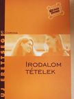 Kállay G. Katalin - Irodalom tételek [antikvár]