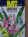 D. Aichele - Mi virít itt? [antikvár]