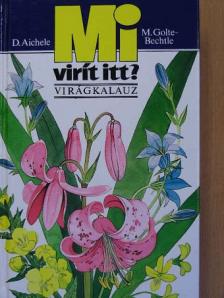 D. Aichele - Mi virít itt? [antikvár]