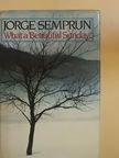 Jorge Semprun - What a Beautiful Sunday! [antikvár]