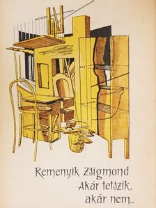 Remenyik Zsigmond - Akár tetszik, akár nem... [antikvár]