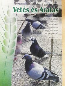 Füle Lajos - Vetés és Aratás 2009/1 [antikvár]