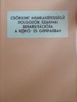 Csiki István - Csökkent munkaképességű dolgozók szakmai rehabilitációja a kohó- és gépiparban [antikvár]