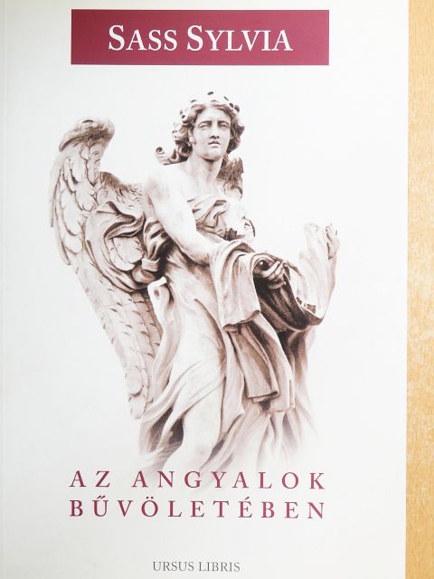 Sass Sylvia - Az angyalok bűvöletében [antikvár]