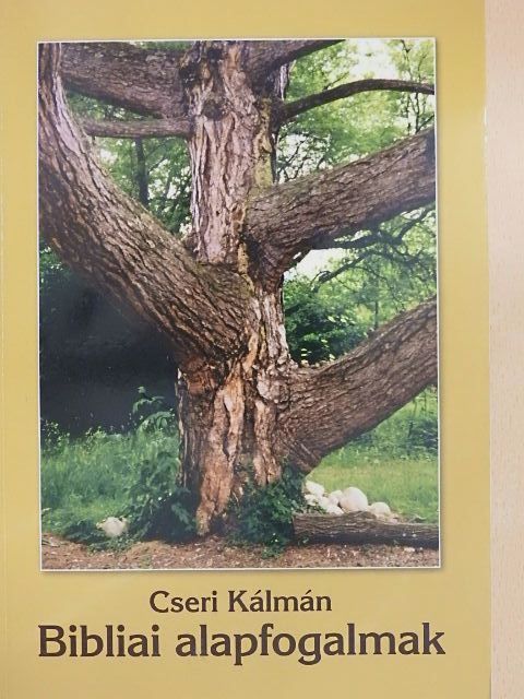 Cseri Kálmán - Bibliai alapfogalmak [antikvár]