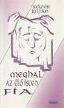Füzér Julián - Meghal az élő isten fia [antikvár]