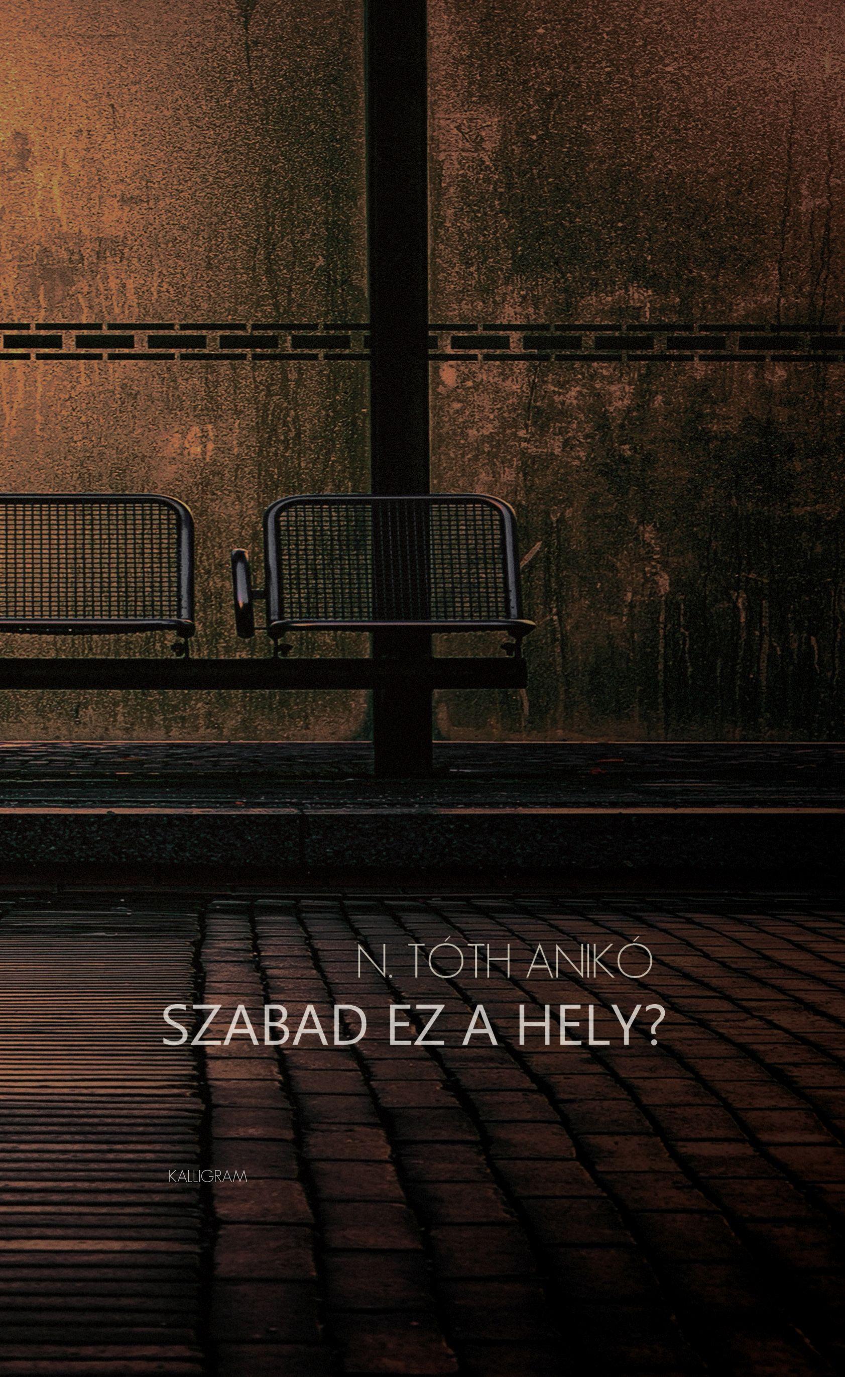 N. Tóth Anikó - Szabad ez a hely?