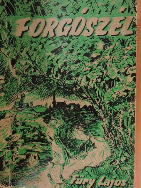 Füry Lajos - Forgószél [antikvár]