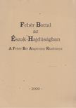 Szabó Miklós - Fehér Bottal az Észak-Hajdúságban [antikvár]