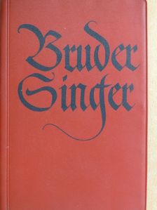 Bruder Singer [antikvár]