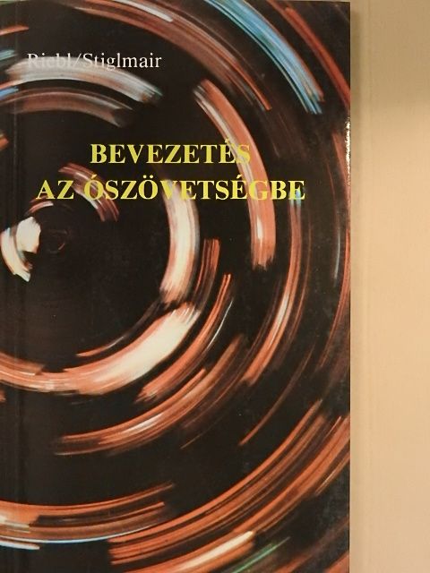 Arnold Stiglmair - Bevezetés az Ószövetségbe [antikvár]