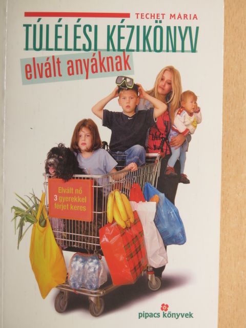 Techet Mária - Túlélési kézikönyv elvált anyáknak [antikvár]
