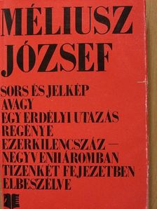 Méliusz József - Sors és jelkép [antikvár]