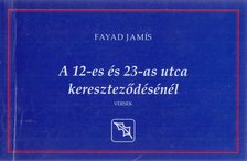 Fayad Jamís - A 12-es és 23-as utca kereszteződésnél [antikvár]