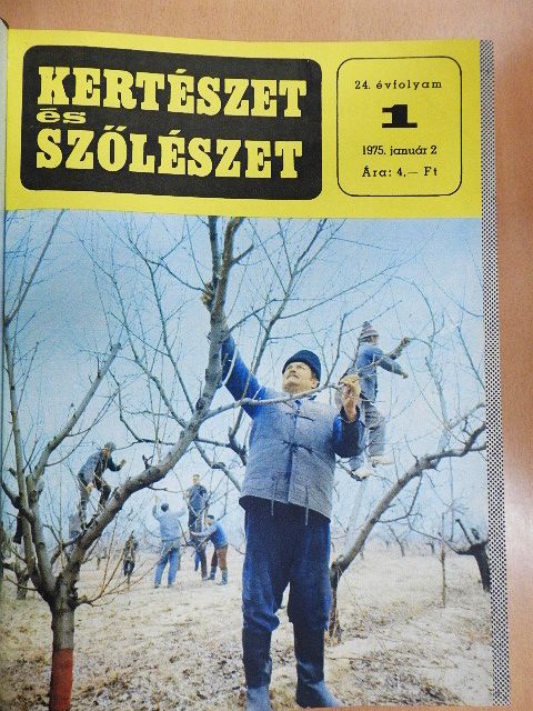 Ábrahám Ferenc - Kertészet és Szőlészet 1975. január-december [antikvár]