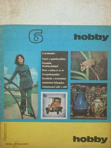 Bajzáth Ferencné - Hobby 6. [antikvár]
