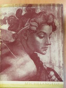 Johannes Jahn - Michelangelo [antikvár]