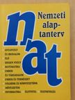 Nemzeti alaptanterv [antikvár]