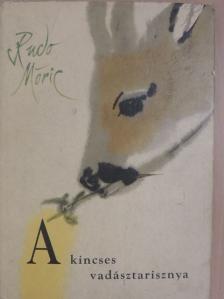 Rudo Moric - A kincses vadásztarisznya [antikvár]