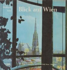 Hugo Ellenberger - Blick auf Wien [antikvár]