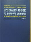 Nagy Katalin - Szociális jogok az Európai Unióban [antikvár]