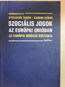 Nagy Katalin - Szociális jogok az Európai Unióban [antikvár]