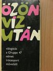 Alexander Kluge - Özönvíz után [antikvár]