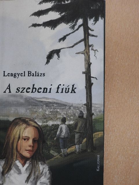 Lengyel Balázs - A szebeni fiúk [antikvár]