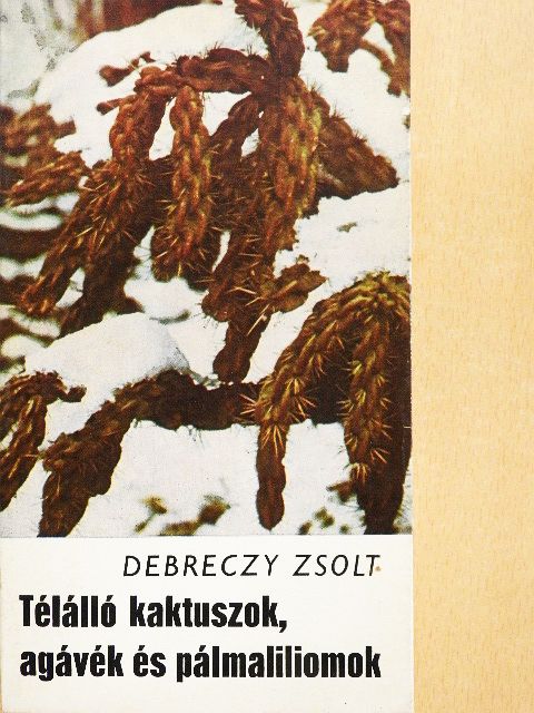 Dr. Debreczy Zsolt - Télálló kaktuszok, agávék és pálmaliliomok [antikvár]