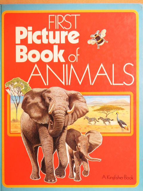 David Lambert - First Picture Book of Animals [antikvár]