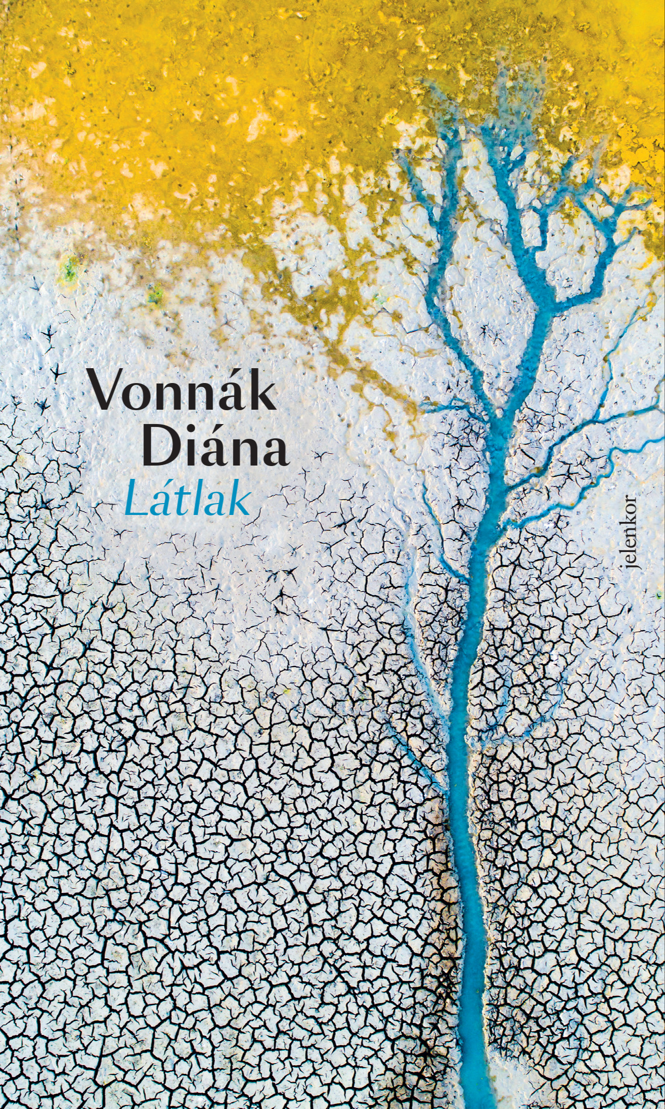 Vonnák Diána - Látlak [eKönyv: epub, mobi]