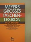 Meyers grosses Taschenlexikon in 24 Bänden 4 (töredék) [antikvár]