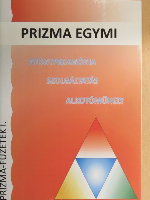 Bánszegi-Tóth Erzsébet - Gyógypedagógia - Szolgáltatás - Alkotóműhely [antikvár]