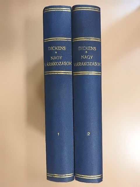 Charles Dickens - Nagy várakozások I-II. [antikvár]